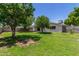 Backyard featuring a well-maintained lawn, several trees, and covered patio area at 556 S Forest --, Mesa, AZ 85204