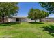 Lush backyard featuring a well-maintained lawn and covered patio area at 556 S Forest --, Mesa, AZ 85204