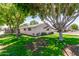 Backyard featuring mature trees offering plenty of shade on a lush lawn at 556 S Forest --, Mesa, AZ 85204