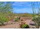 Beautifully landscaped yard with native plants, desert flora, and a stone walkway at 8154 E Tecolote Cir, Scottsdale, AZ 85266