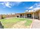 Spacious backyard with a covered patio, lush green lawn, and low-maintenance desert landscaping at 903 W Shawnee Dr, Chandler, AZ 85225