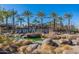 Community pool area with palm trees and green landscape, including a rocky stream at 9645 E Ripple Dr, Mesa, AZ 85212