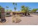 Landscaped backyard with desert plants and palm trees providing shade and privacy at 1124 S Longwood Loop, Mesa, AZ 85208