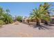Charming single-story home features xeriscape landscaping and mature palm trees in the front yard at 1124 S Longwood Loop, Mesa, AZ 85208