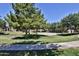Lush green space with mature trees and walking paths offering a serene community environment at 14870 W Encanto Blvd # 1038, Goodyear, AZ 85395