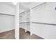 Walk-in closet with carpeted flooring and built-in shelving for ample storage space at 22019 N 59Th Dr, Glendale, AZ 85310
