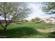 Expansive backyard with lush green grass and shade trees, ideal for outdoor activities at 2501 S Roanoke St, Gilbert, AZ 85295