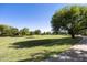 Beautiful community park with lush green grass, walking path, mature trees and blue sky at 2501 S Roanoke St, Gilbert, AZ 85295