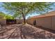 Spacious gravel backyard with mature shade tree and block wall offers privacy and room for outdoor activities at 4264 S Columbine Way, Gold Canyon, AZ 85118