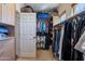 Walk-in closet with ample shelving and storage at 4264 S Columbine Way, Gold Canyon, AZ 85118