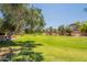 Scenic view of community greenspace featuring a large shade tree and a park bench amidst a well-maintained lawn at 931 S Racine Ln, Gilbert, AZ 85296