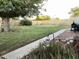 Large backyard with mature trees, grassy lawn, block fence and space for outdoor activities at 9615 N 34Th Ave, Phoenix, AZ 85051