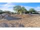 Gravel driveway leading to a home with mature trees and well-maintained landscaping, showcasing a serene desert setting at 1044 E Irvine Rd, Phoenix, AZ 85086