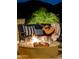 Relaxing outdoor area with a warm firepit, cozy sofa, guitar, and scenic night views, ideal for gatherings and unwinding at 15054 E Sundown Dr, Fountain Hills, AZ 85268