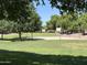 Outdoor basketball court with well-maintained green spaces, trees, and bright clear blue sky at 15429 W Ventura St, Surprise, AZ 85379