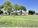 A charming playground area with lush green grass, shaded by mature trees on a sunny day at 2122 N Stapley Dr, Mesa, AZ 85203