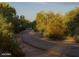 Shaded walking path with natural landscape, providing a tranquil outdoor experience at 21963 E Sunset Dr, Queen Creek, AZ 85142