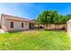Spacious backyard with lush green grass, covered patio, and mature trees at 24013 N 165Th Ave, Surprise, AZ 85387