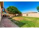 Spacious backyard featuring a lush lawn, mature tree, and covered patio seating area at 24013 N 165Th Ave, Surprise, AZ 85387