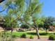 Enjoy the community park with lush green spaces, mature trees, and a colorful playground under a clear blue sky at 24013 N 165Th Ave, Surprise, AZ 85387