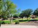 Enjoy the community park with lush green spaces, mature trees, and a colorful playground under a clear blue sky at 24013 N 165Th Ave, Surprise, AZ 85387