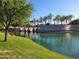 Picturesque community pond with palm trees and Ajante sign reflecting in the water at 24013 N 165Th Ave, Surprise, AZ 85387