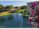 Picturesque pond featuring an architectural fountain and lush landscaping with pink flowers at 24013 N 165Th Ave, Surprise, AZ 85387