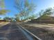 Cobblestone street lined with trees and well-maintained landscaping, leading to attractive homes in a quiet neighborhood at 24013 N 165Th Ave, Surprise, AZ 85387
