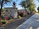 Attractive streetscape with well-maintained sidewalks, landscaping, and decorative walls at 24013 N 165Th Ave, Surprise, AZ 85387