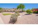 Low maintenance backyard featuring artificial grass, desert landscaping, and mountain views at 2422 E Rockledge Rd, Phoenix, AZ 85048