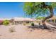 Wide view of backyard with desert landscaping, covered patio, and mountain views at 2422 E Rockledge Rd, Phoenix, AZ 85048