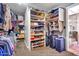 Walk-in closet featuring built-in shelving, rods, and carpeted floors at 2699 E Claxton Rd, Gilbert, AZ 85297