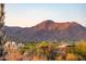 Scenic view of a desert neighborhood nestled in the foothills of a mountain range at sunset at 11089 N 130Th Pl, Scottsdale, AZ 85259