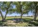 Community park picnic area with tables shaded by mature trees and lush green lawn at 1616 N 125Th Ln, Avondale, AZ 85392