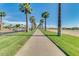 Scenic walking path lined with palm trees and lush green grass under a clear blue sky at 18108 W Cassia Way, Goodyear, AZ 85338