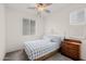 Cozy bedroom featuring a ceiling fan, bright window, and a classic wooden dresser at 20904 E Swan Dr, Queen Creek, AZ 85142