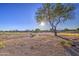 Desert backyard with low-maintenance landscaping, mature mesquite, and natural rock at 29384 N Rosewood Dr, San Tan Valley, AZ 85143