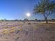Wide open space with desert landscaping, low-maintenance shrubbery, and mature shade tree at 29384 N Rosewood Dr, San Tan Valley, AZ 85143