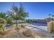 Backyard featuring desert landscaping with mature tree, rock features, and brick-paver patio at 29384 N Rosewood Dr, San Tan Valley, AZ 85143