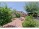 Private backyard features a brick fire pit, mature trees and shrubs, and custom landscaping at 4609 W Challenger Trl, New River, AZ 85087