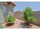 Landscaped backyard features a stone pathway, various shrubs, and a block wall for privacy at 4609 W Challenger Trl, New River, AZ 85087