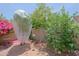 Residential backyard featuring colorful landscaping, trees and rock groundcover at 4609 W Challenger Trl, New River, AZ 85087