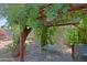 Beautiful backyard patio under a vine-covered pergola featuring an outdoor dining area at 4609 W Challenger Trl, New River, AZ 85087
