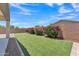 Backyard with manicured lawn and flowering bushes at 4866 N 185-Th Dr, Goodyear, AZ 85395