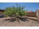 Expansive backyard with gravel landscaping, mature trees, and a defined garden area, creating a peaceful outdoor environment at 5911 E Evergreen St, Mesa, AZ 85205