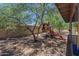 Backyard play structure with slide and climbing features, nestled among mature trees and offering shade for playtime at 5911 E Evergreen St, Mesa, AZ 85205