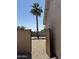 Gated side yard and lovely palm tree at 6460 S Springs Pl, Chandler, AZ 85249