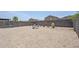 Expansive backyard with low-maintenance desert landscaping, surrounded by a privacy fence at 941 E Desert Moon Trl, San Tan Valley, AZ 85143