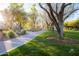Beautiful community walking path surrounded by lush greenery and mature trees, great for outdoor recreation at 17903 N 93Rd Way, Scottsdale, AZ 85255