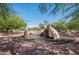 Community playground with climbing rocks and play structures nestled amongst mature trees and landscaping at 22903 N 39Th Ter, Phoenix, AZ 85050